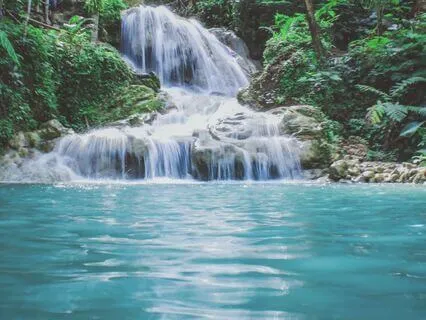 The Element Of Water: A Cleansing Journey