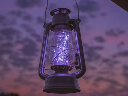 The Elephant's Child