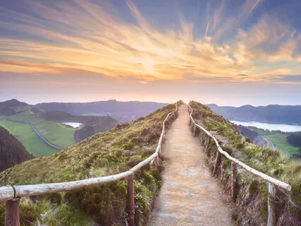 The Elevator Of Your Life