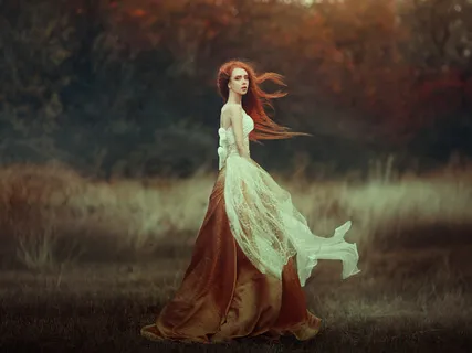 The Elfin Night And Other Cozy Tales For Autumn