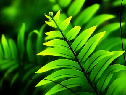 The Elixir Of Breath  - 20 Minute Daily Insight