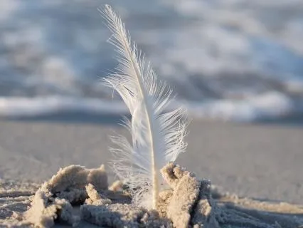 The Embodied Goddess Meditation