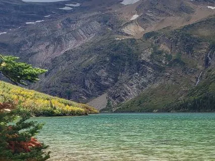 The Emerald Canopy - A Sleep Meditation