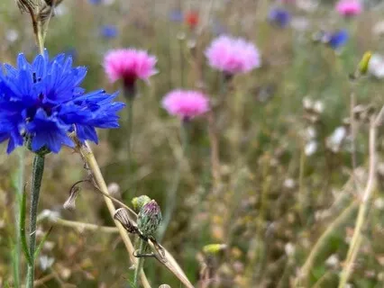 The Emotional Charge Of Money - August 31