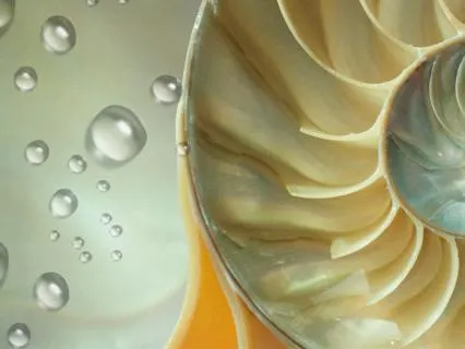 The Emotional Loop: For Those Who Still Feel Stuck