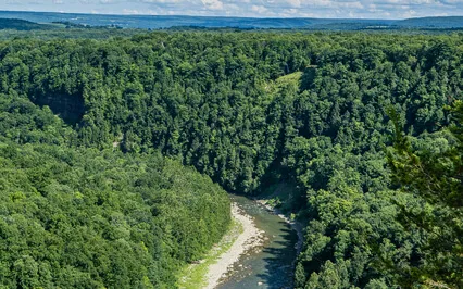 The Emperor Meditation