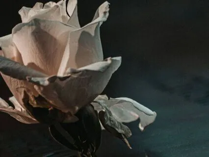 The Emptiness Of Grief