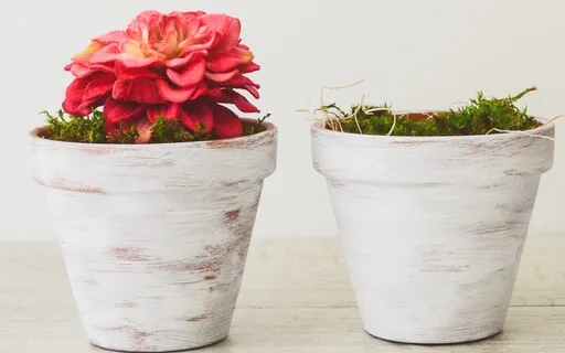 The Empty Pot - Chinese Folk Tale