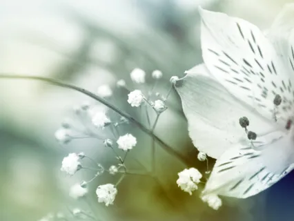 The Emptying Of Hell