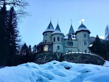 The Enchanted Faerie Castle