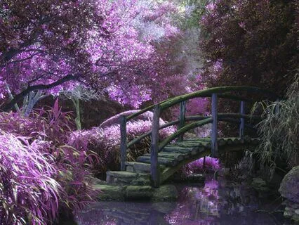 The Enchanted Forest (A Guided Sleep Story)