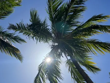 The End Of Seeking - Meditation On Tara's Light Of Truth