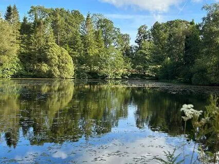 The End Of Suffering