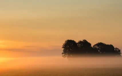 The Energetic Guardians Of Your Business