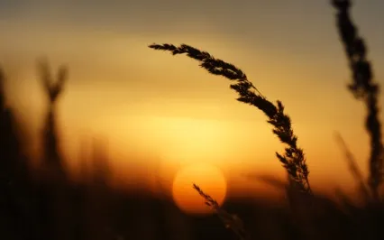 The Energetics Of Manifestation