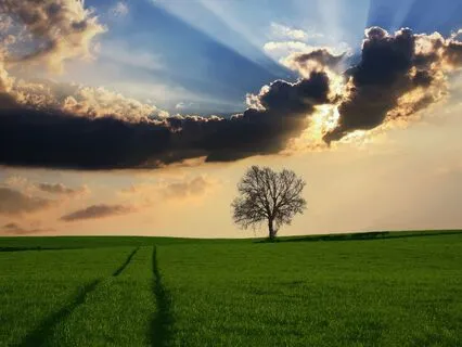 The Energy Of Choice: Aligning With Your Inner Wisdom