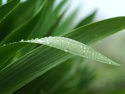 The Energy Of Surrender