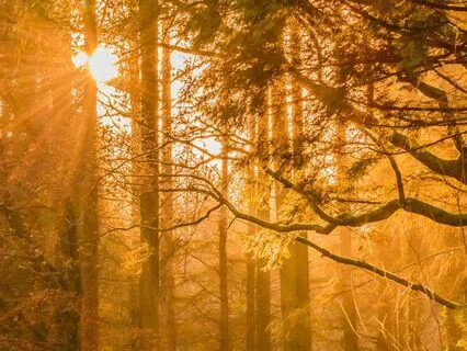 The Energy Of Wealth