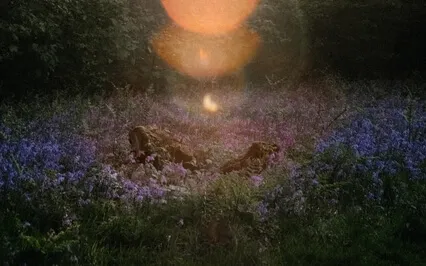 The Energy Of Your Desires