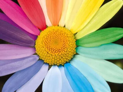 The Energy Reset: Balance All Your 7 Chakras