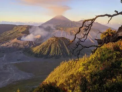 The Entrepreneur's Journey To Attracting A Wealthy Life