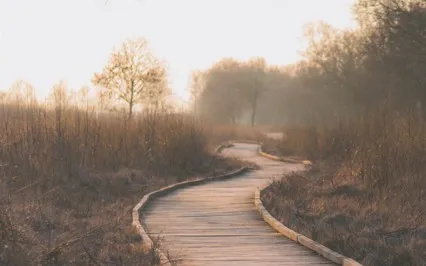 The Entrepreneur’s Meditation