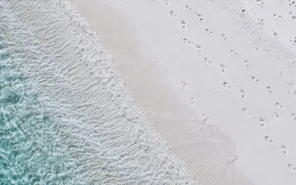 The Essence Of Relationship