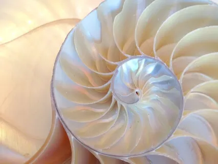 The Essence Of "The Dance of Yoga" ~ In The Healing Waters