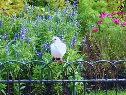 The Eternal Garden Of Love Poem