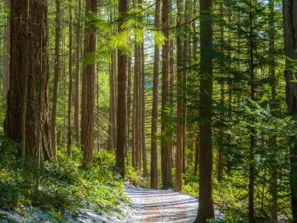 The Exhale Is The Mind, Blowing