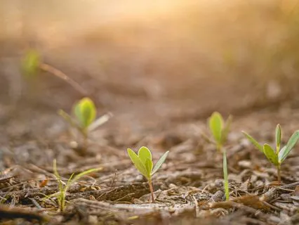 The Expanding Power Of Hope