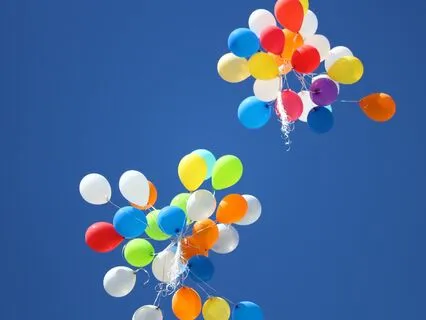 The Experience Of Insight