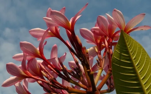 The Eye Of The Hurricane Meditation