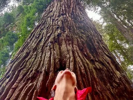 The Eye Of The Storm