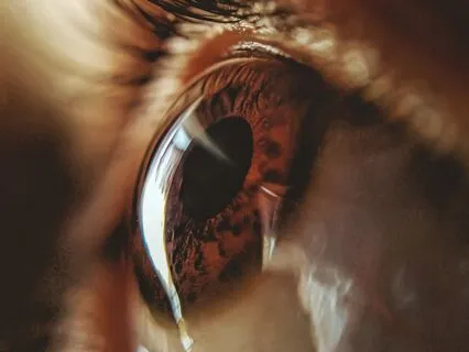 The Eyes Of An Angel