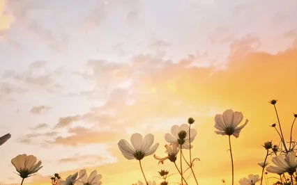 The Fact Is That We Are Nothing At This Moment