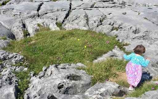 The Faerie Circle - Guided Imagery