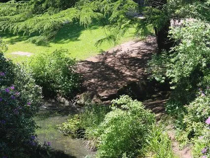 The Fairy Glen - Magical Soothing Harp & Songbirds