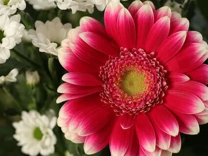 The Farewell 2024 And Hello 2025