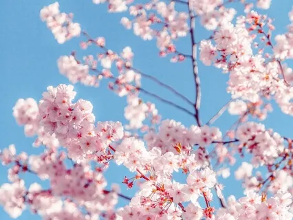 The Fear Of Imperfection