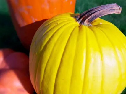 Bedtime Story - The Fearsome Four And The Yellow Pumpkin