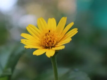 The Feeling Of Contact | A Gentle Awareness Practice