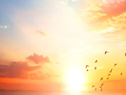 The Feeling Of Oneness