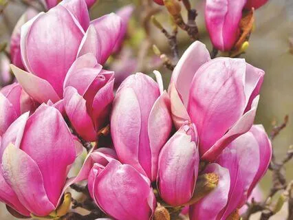 The Feelings Exercise: Embrace And Accept