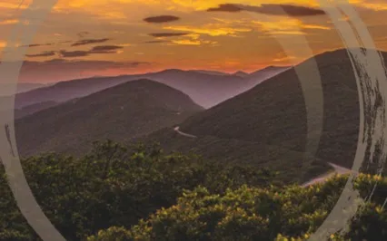 The Felt Sense - Dual Awareness