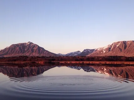 The Field Of Awareness