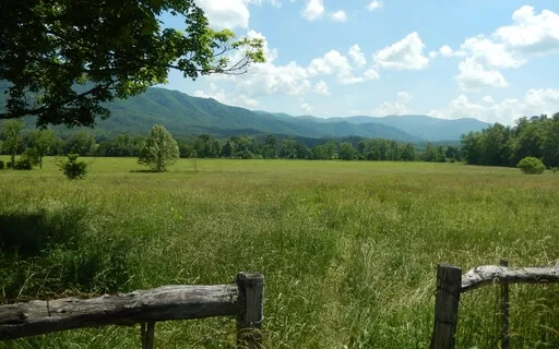 The Field Of Transformation