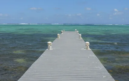 The First 4 Steps Of Patanjali's Yoga Sutras