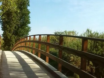 The First Breath: Meditation Made Simple