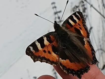 Meditation Designed To Ground And Then Uplift